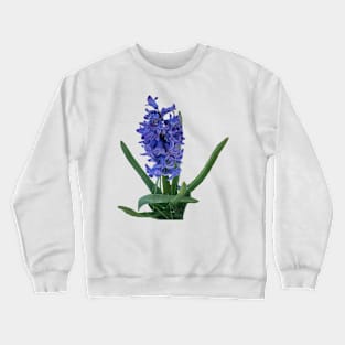 Purple Hyacinth Crewneck Sweatshirt